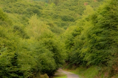 Harz-10