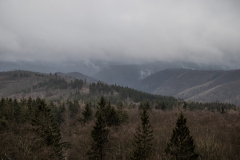 Harz-14