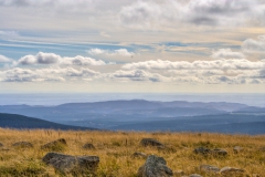 Harz-2