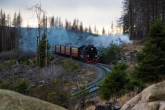 Harz-20