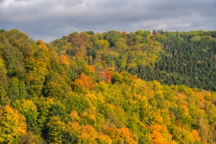 Harz-4