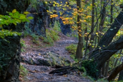Harz-5