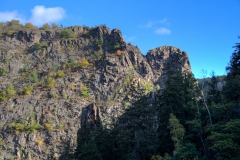 Harz-6