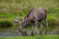 Schweden-16