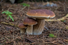 Schweden-17