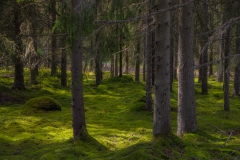 Schweden-29
