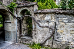 Schweiz-23