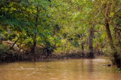 Vietnam-13
