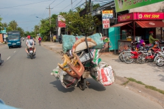 Vietnam-16