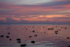 Vietnam-22